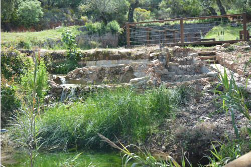 Agroturismo