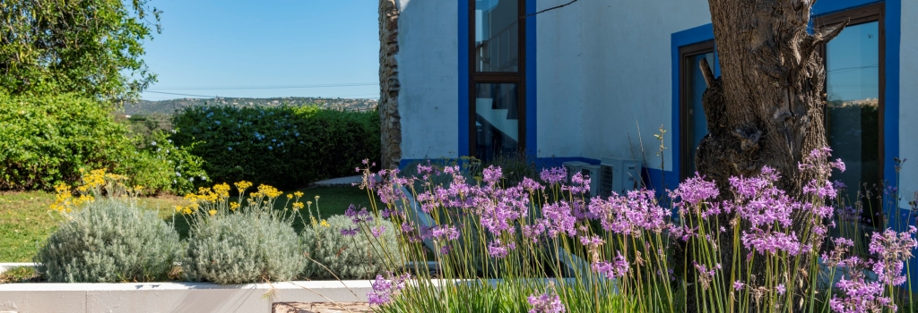 Quinta do Mel