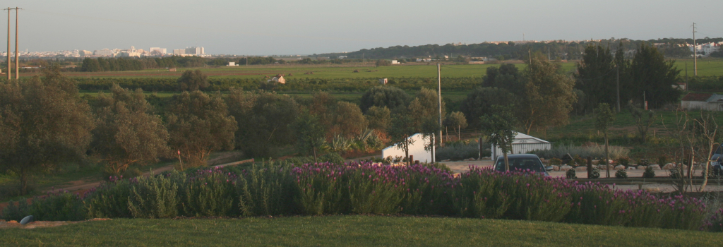 Quinta do Mel